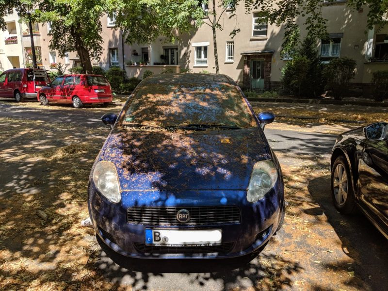 Fundstück Dauerparker Florakiez